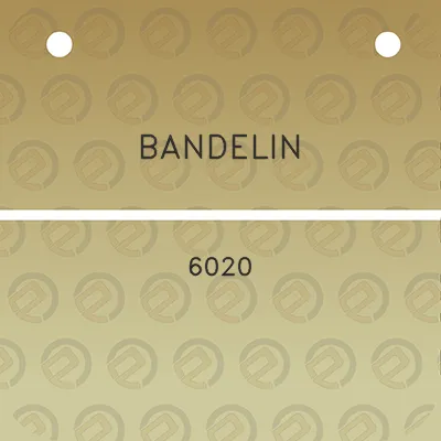 bandelin-6020