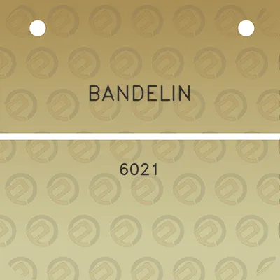 bandelin-6021