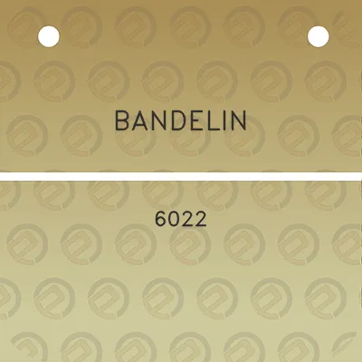 bandelin-6022