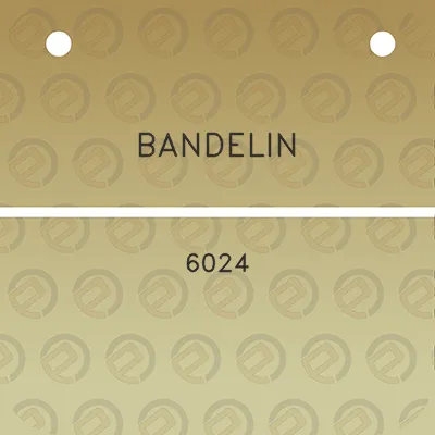 bandelin-6024