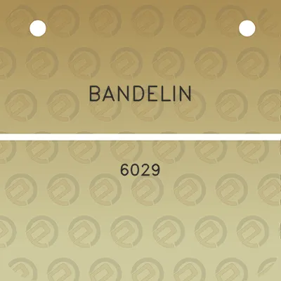 bandelin-6029