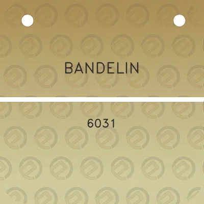 bandelin-6031