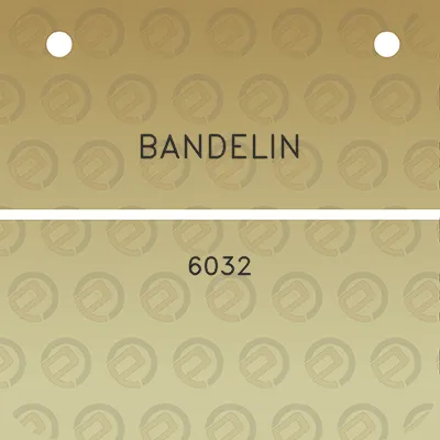 bandelin-6032