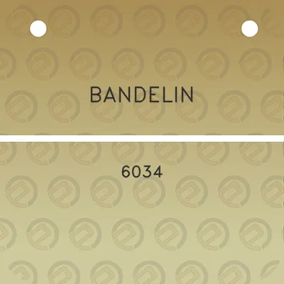 bandelin-6034