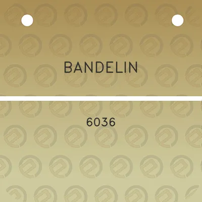 bandelin-6036