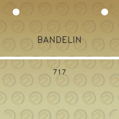 bandelin-717