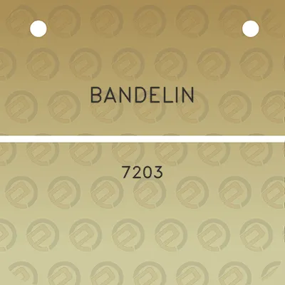 bandelin-7203