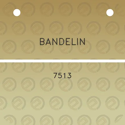 bandelin-7513