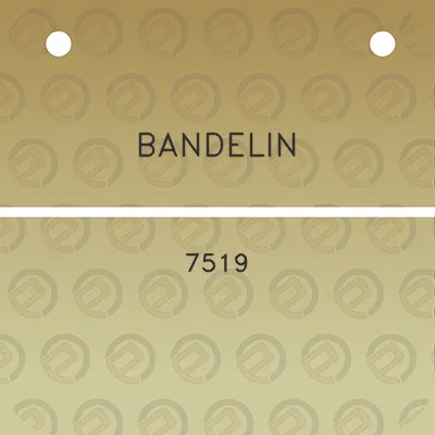 bandelin-7519