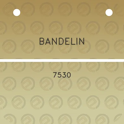 bandelin-7530