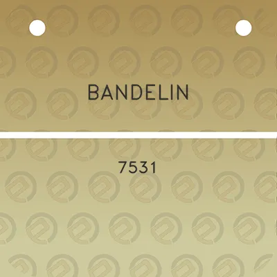 bandelin-7531