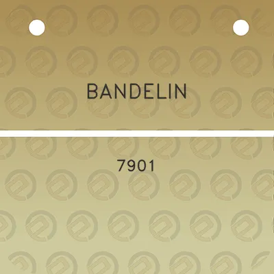 bandelin-7901