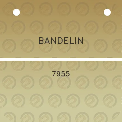 bandelin-7955