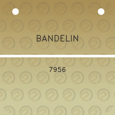 bandelin-7956