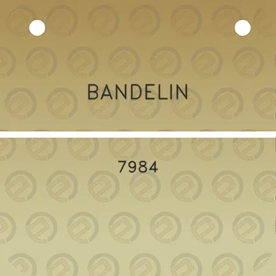 bandelin-7984