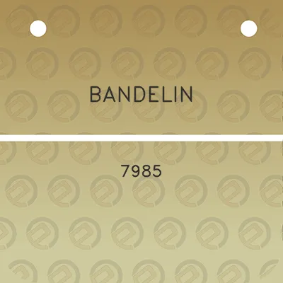 bandelin-7985