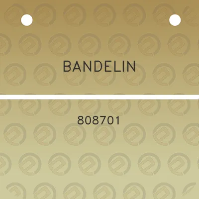 bandelin-808701