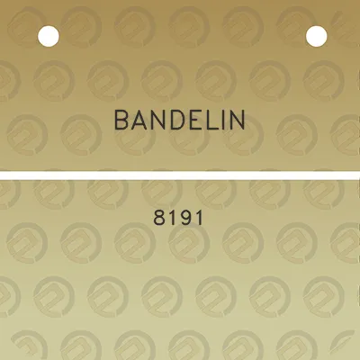 bandelin-8191