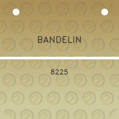 bandelin-8225