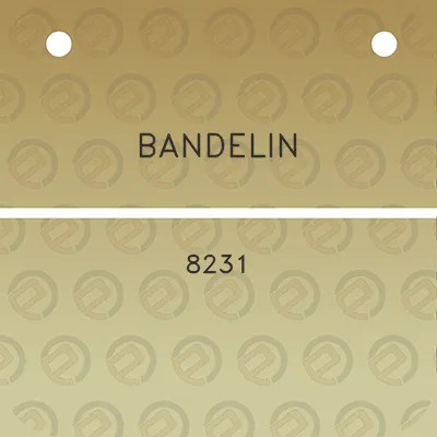 bandelin-8231