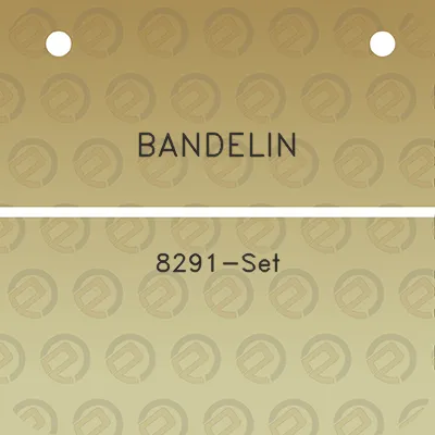 bandelin-8291-set