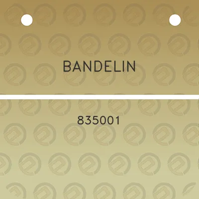 bandelin-835001