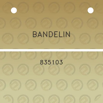 bandelin-835103