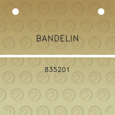 bandelin-835201