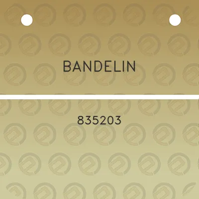 bandelin-835203