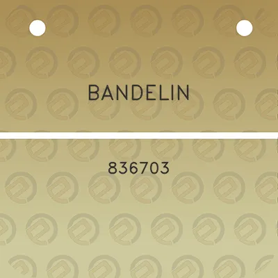 bandelin-836703