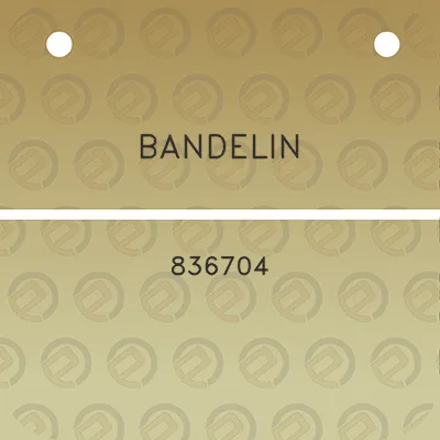 bandelin-836704