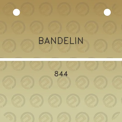 bandelin-844