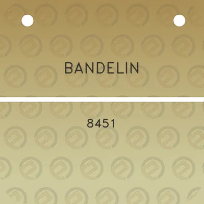 bandelin-8451