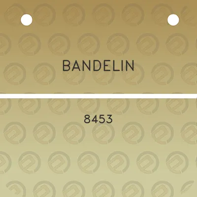 bandelin-8453