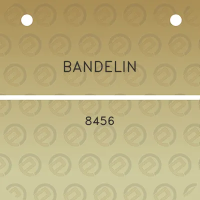 bandelin-8456