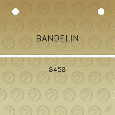 bandelin-8458