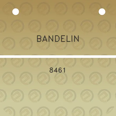 bandelin-8461