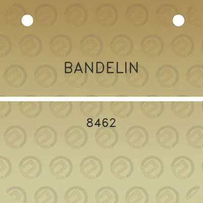 bandelin-8462