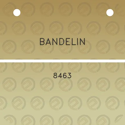 bandelin-8463