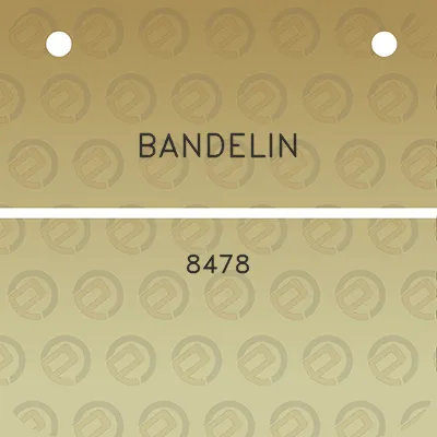 bandelin-8478