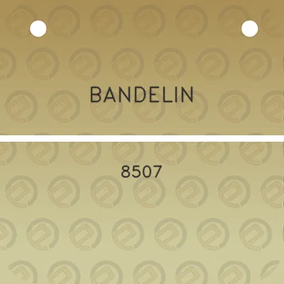 bandelin-8507