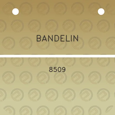 bandelin-8509