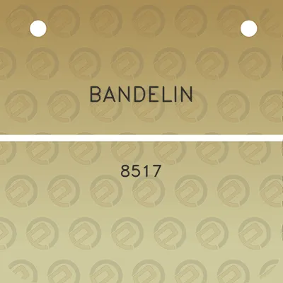 bandelin-8517