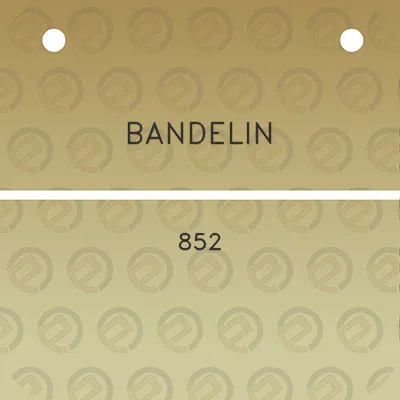 bandelin-852