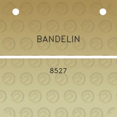 bandelin-8527