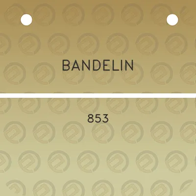 bandelin-853