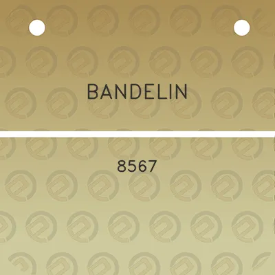 bandelin-8567