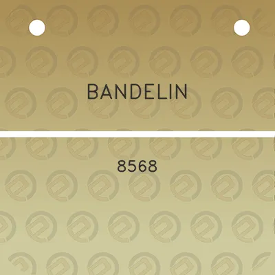 bandelin-8568