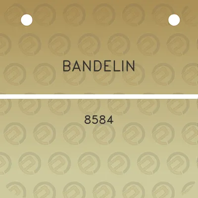 bandelin-8584