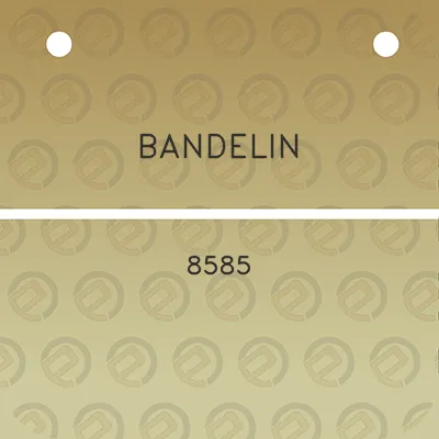 bandelin-8585